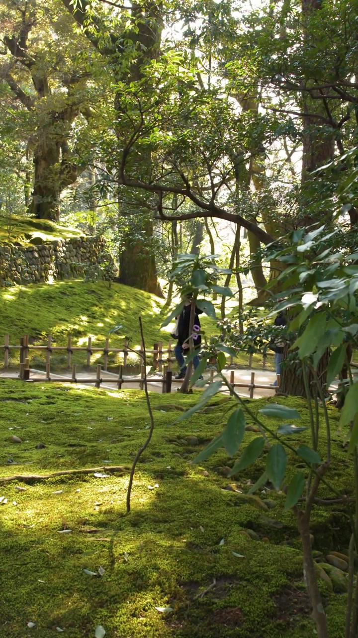 La luz dorada del sol ilumina un vibrante paisaje cubierto de musgo con personas caminando por un sendero de jardín distante.