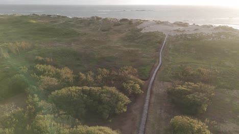 Aerial-view-of-dunes-and-coastline-at-Ofir-Beach-in-Esposende,-Portugal