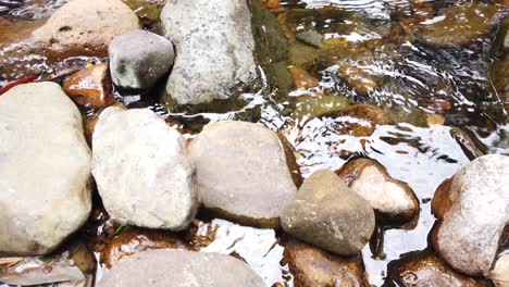 Crystal-clear-white-water-flowing-downstream-over-stones-and-pebbles-which-make-up-the-riverbed