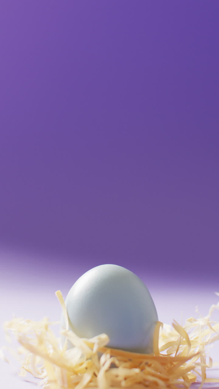 Vertical video of blue easter egg with hay on purple background with copy space