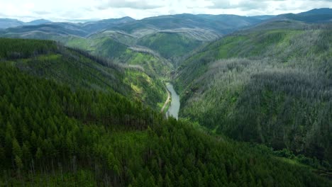 usa, or, estacada, promontory park, 2024-06-17 - flying over the north fork of the clackamas river at the pge campground