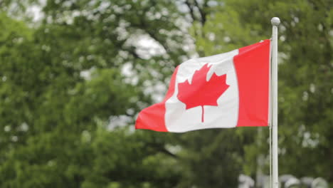 Bandera-Canadiense-Ondeando-Al-Viento-En-Un-Parque