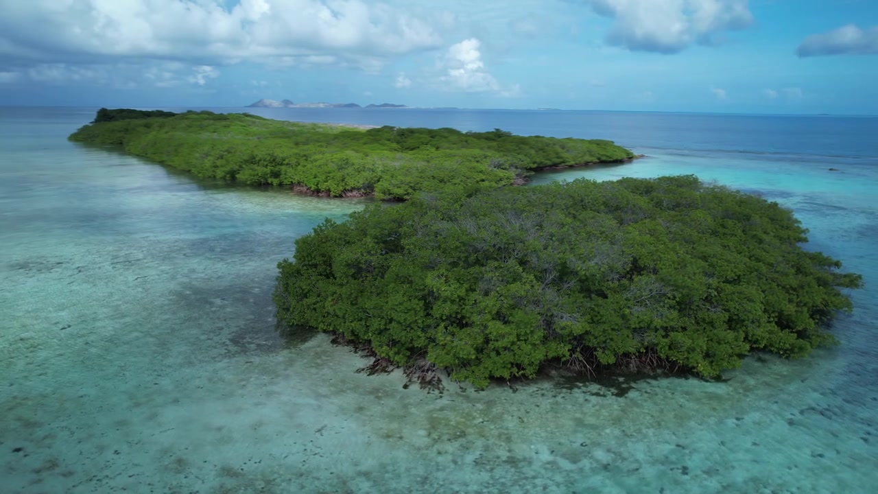 Rigogliose isole di mangrovie verdi circondate da acque basse turchesi sotto un cielo azzurro e limpido