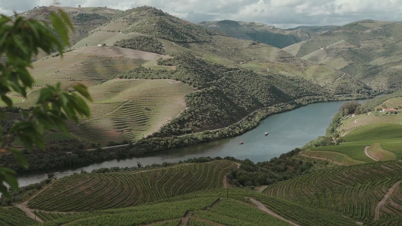 Il fiume Douro si snoda attraverso vigneti a terrazze e dolci colline verdi sotto un cielo nuvoloso.