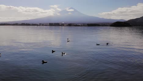 low angle drone tilt up over lake with ducks and mount fuji on bright day