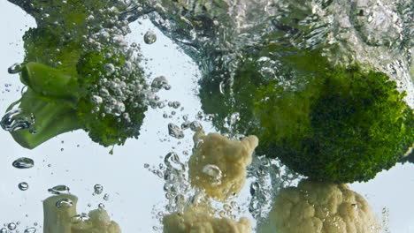 mix cauliflower broccoli falling water on white background closeup. ripe cabbage