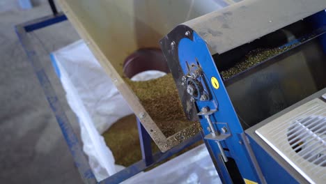 sorting hemp seeds from other weeds in automated machine - close up