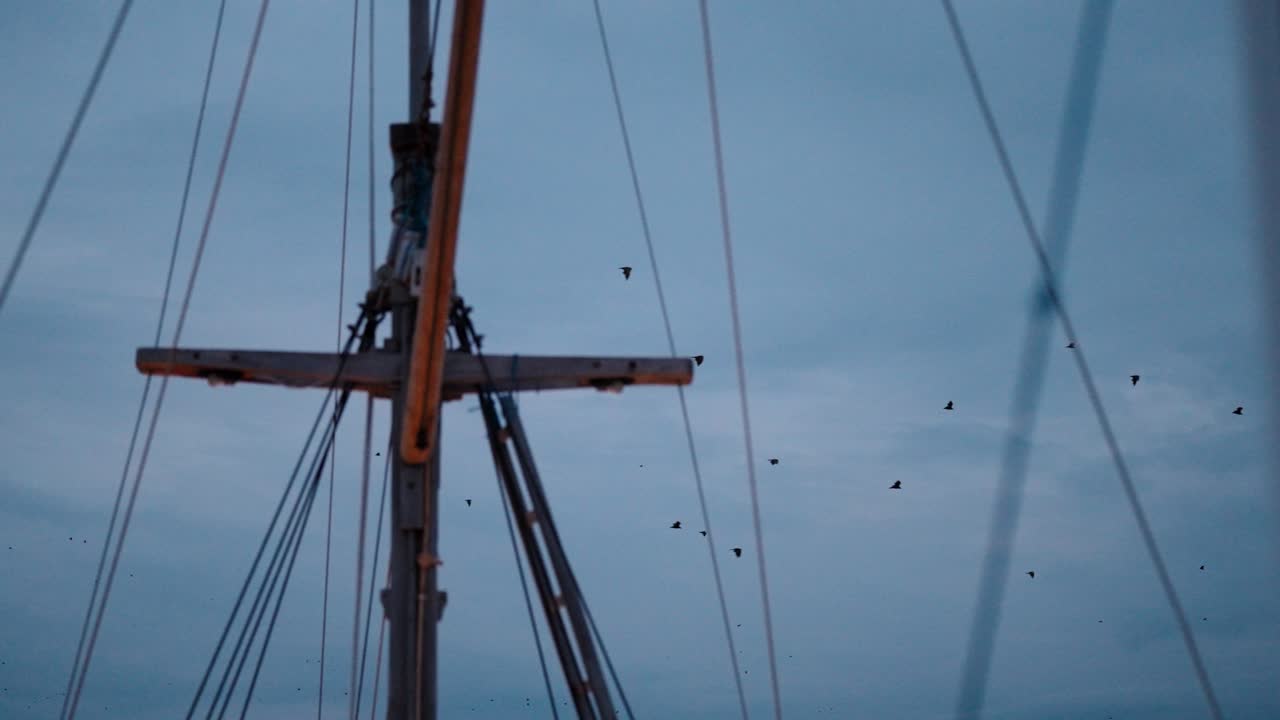 Pipistrelli della frutta che volano sopra un cielo nuvoloso con l'albero e le cime di una barca in primo piano.