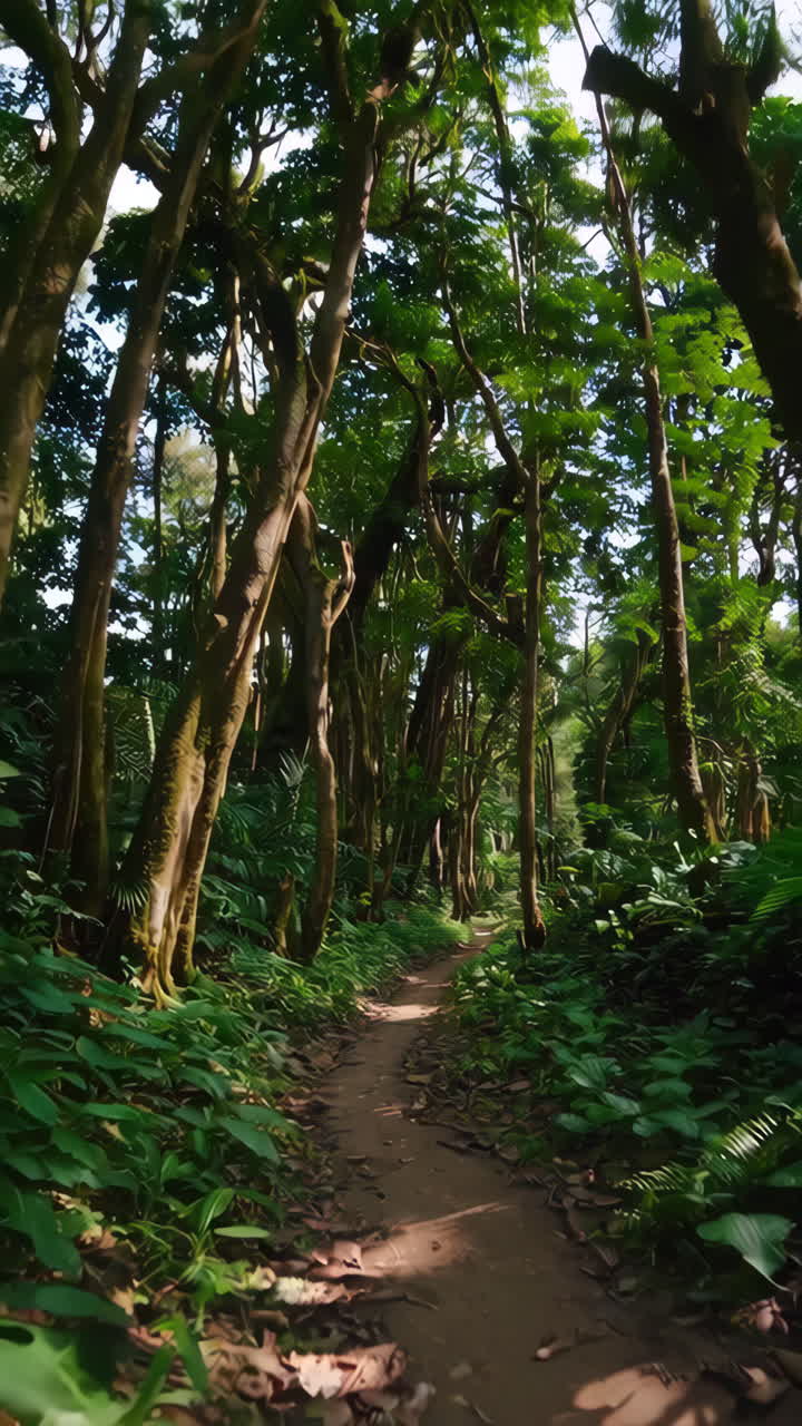 Sentiero nella giungla in una lussureggiante foresta tropicale