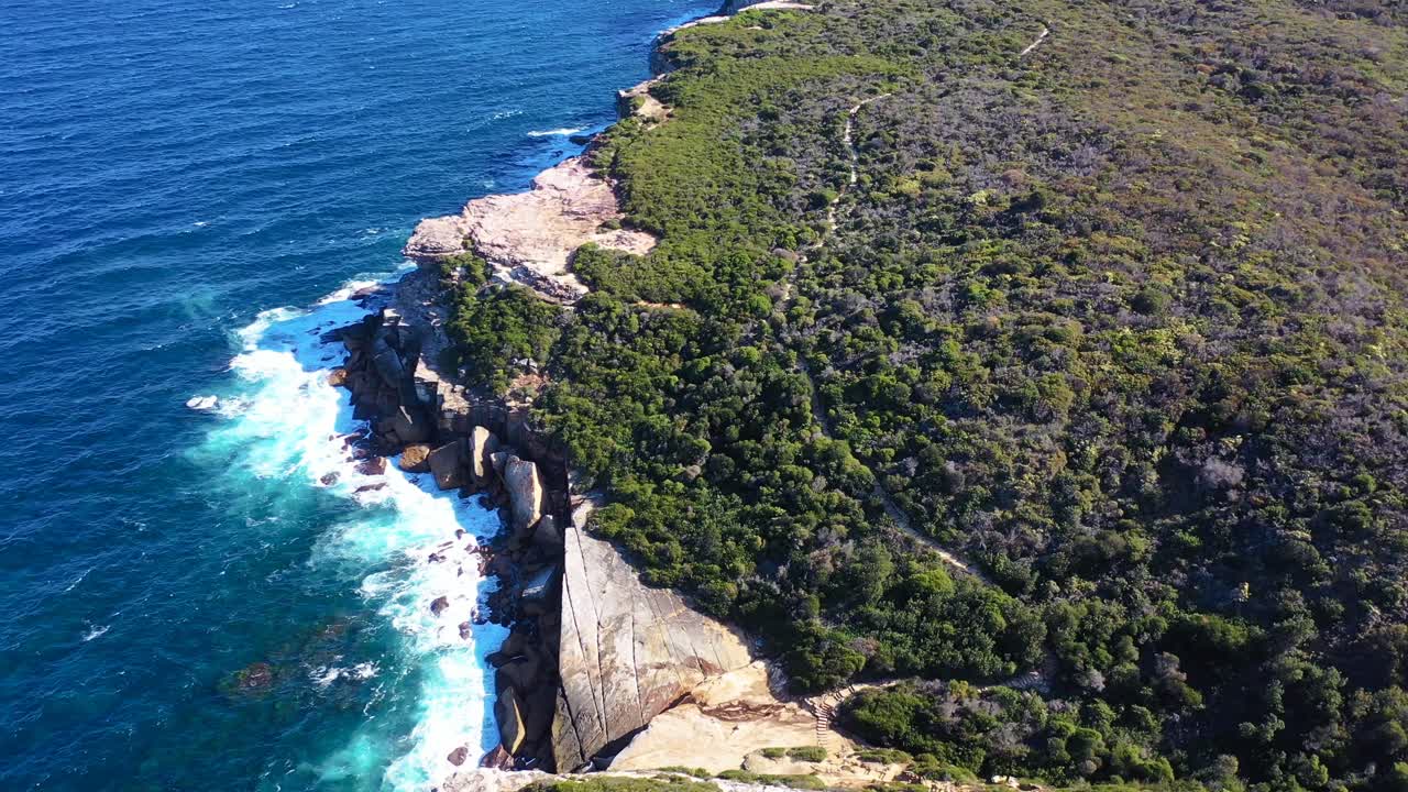 시드니 - 로얄 국립 공원 틸트 뷰