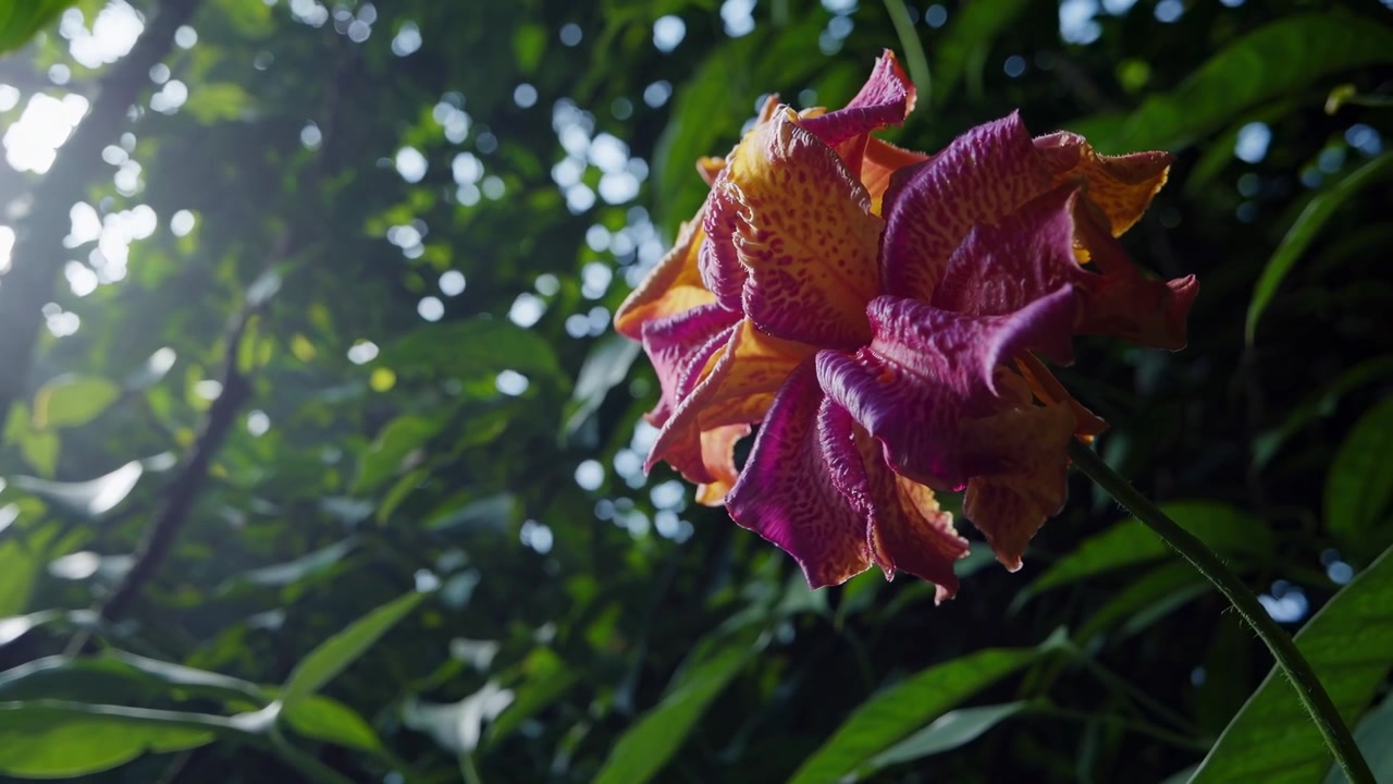 Fiore tropicale vivace in fiore in una lussureggiante giungla verde