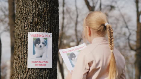 un niño con un cartel sobre la búsqueda de mascotas de su perro perdido