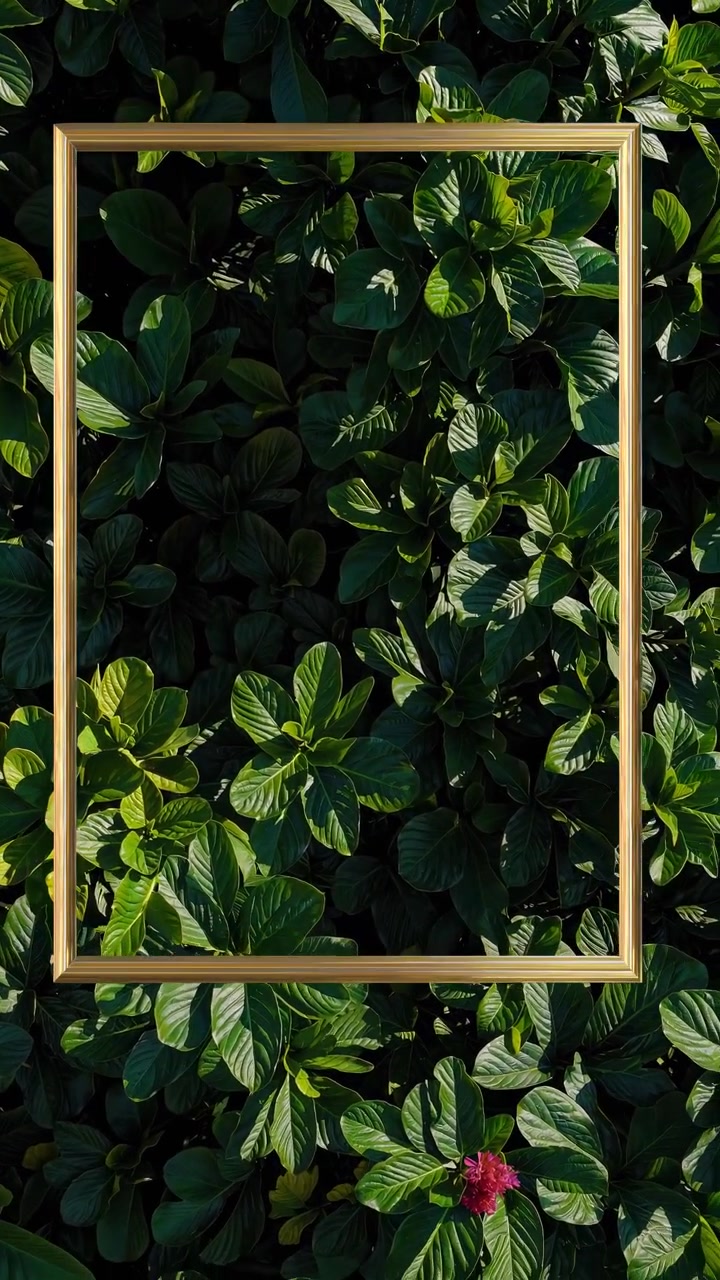 Empty Gold Picture Frame Over Lush Green Foliage Background