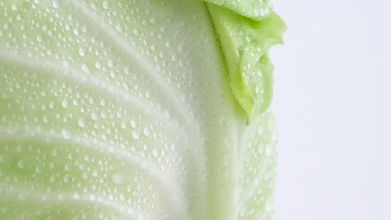 macro disparo de la parte lateral de un mini repollo blanco entero con gotas de agua. girando lentamente en la mesa giratoria aislada en el fondo blanco. primer plano.
