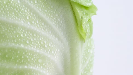 macro shooting of side part of one whole mini white cabbage with water drops. slowly rotating on the turntable isolated on the white background. close-up.