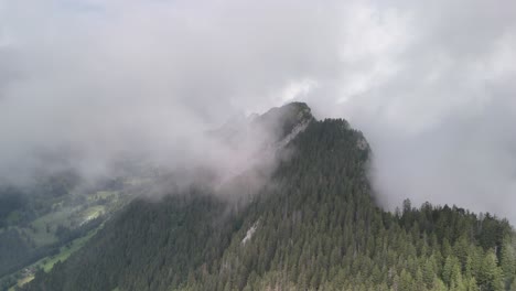 fridlispitz glarus switzerland swiss mountain, aerial over forest and clouds