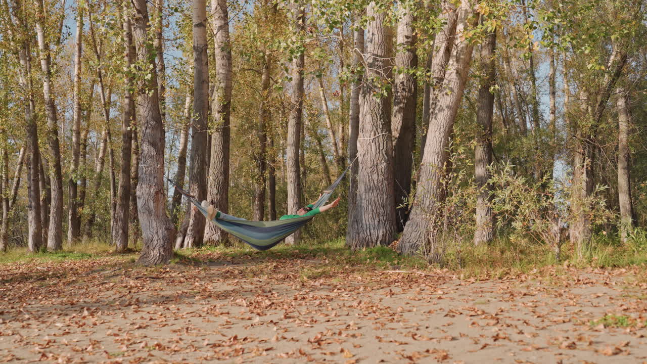Amaca vuota in una foresta di betulle, ritiro in campeggio sotto foglie dorate, brezza leggera e terreno punteggiato di sole, foglie sparse a terra, atmosfera tranquilla adatta al riposo degli escursionisti, alla pausa degli scrittori naturalisti, al birdwatcher.