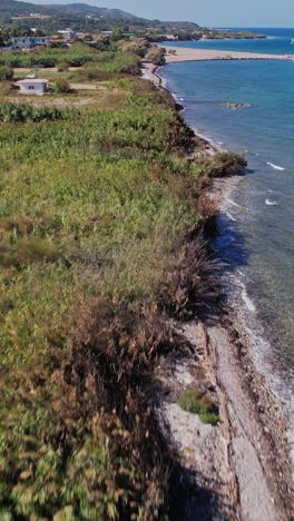 coastal view of a serene shoreline with lush greenery and blue waters