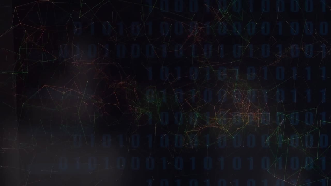 animación de la red de conexiones a través del procesamiento de datos