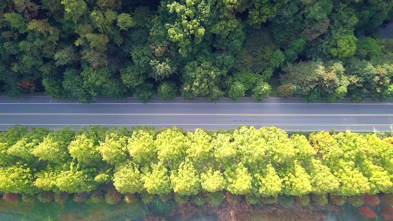 가을에 도로의 높은 각도 뷰 남한