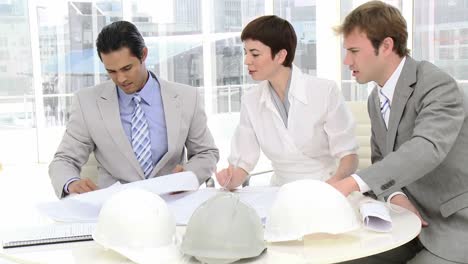 a diverse group of architects in a meeting