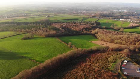 Sunlit-Bathed-Idyllic-Woodbury-Common-In-East-Devon