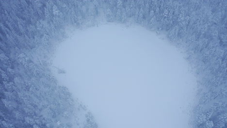 aerial drone footage of remote frozen pond in the middle of wilderness