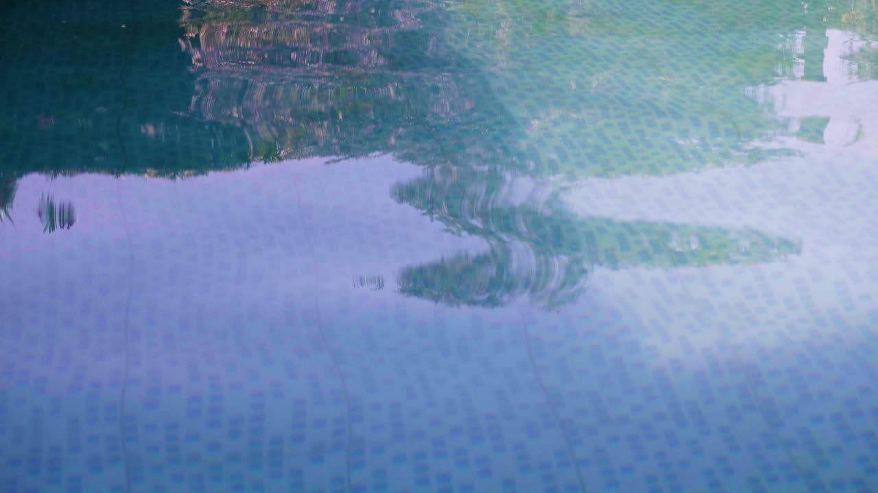 수영장 표면 에 반사 된 나무 들