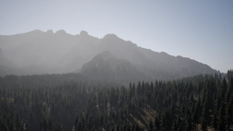 misty mountain forest landscape