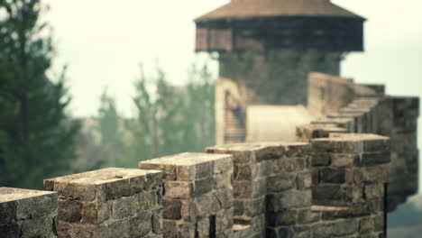 old castle walls at the sunset