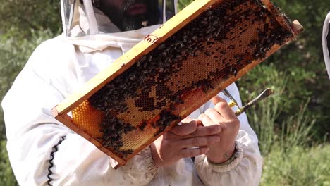 Beekeeper-with-many-bees-on-honeycomb