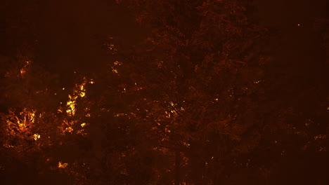 wildfire engulfs forest leaving behind a haunting glow in the night sky