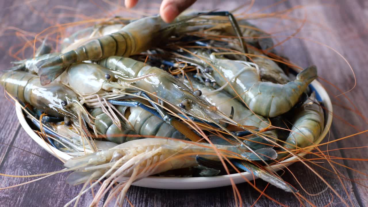 접시에 신선한 새우