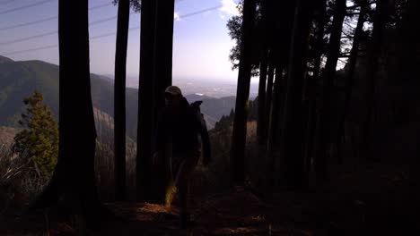 silueta de mae excursionista caminando por el bosque oscuro con vista abierta en el fondo