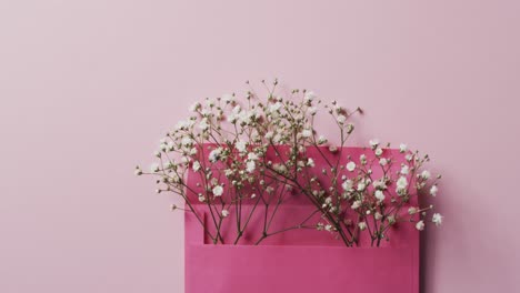 Video-of-white-flowers-in-pink-envelope-and-copy-space-on-pink-background