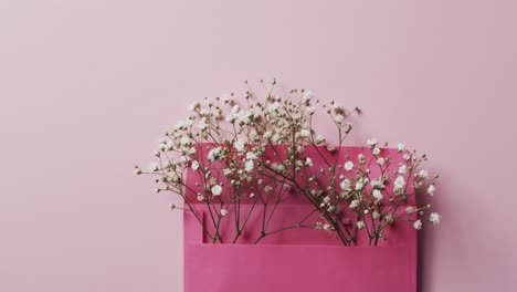 Vídeo-De-Flores-Blancas-En-Sobre-Rosa-Y-Espacio-Para-Copiar-Sobre-Fondo-Rosa