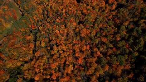 Inclinación-Aérea-Sobre-Las-Montañas-Catskill-Con-Un-Impresionante-Follaje-De-Otoño