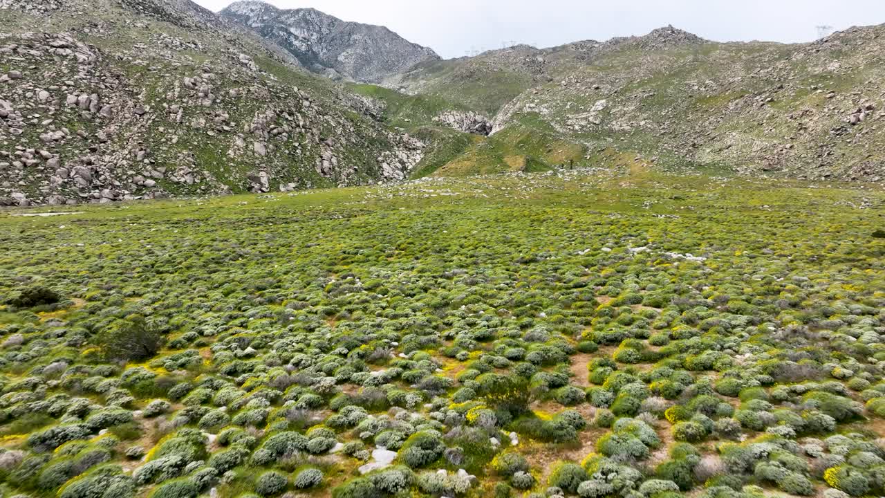 movimiento hacia adelante en el campo del desierto con algunos arbustos y montañas en el desierto de palm springs ca