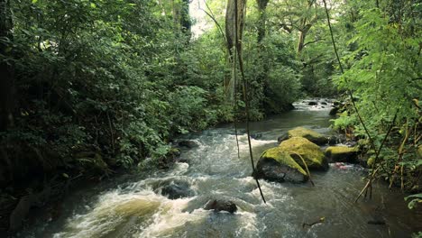 Río-Que-Fluye-En-Un-Paisaje-De-Bosque-Tropical-En-áfrica,-Exuberante-Paisaje-Verde-En-El-Parque-Nacional-Kilimanjaro-En-Tanzania-En-Una-Escena-Africana-De-Agua-Y-árboles-Verdes-Y-Naturaleza