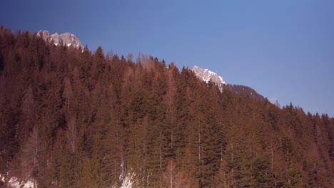 a flight over a forest with a tilt upwards revealing the austrian mountains