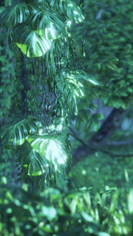 lush tropical jungle scene with monstera leaves