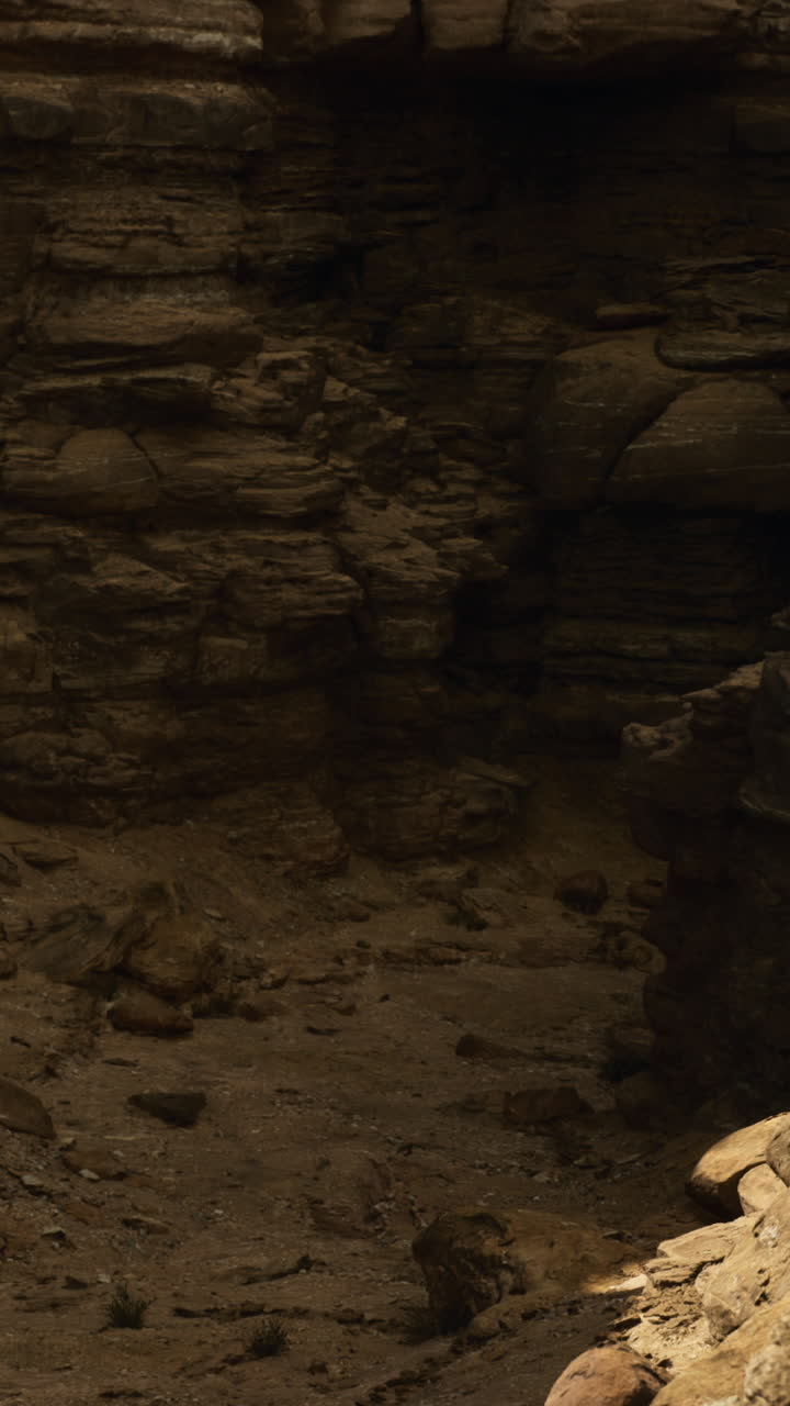 Sunlight highlights the rough textures and layers of rocks within a canyon