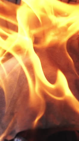campfire of the branches burn at night in the forest. burning paper in an orange flame closeup. background of the fire. vertical video
