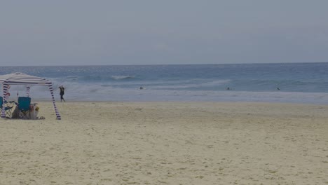 people enjoying the beach and ocean