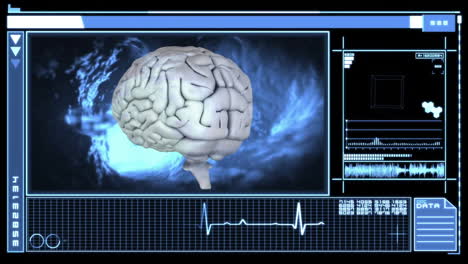 animación del cerebro humano y procesamiento de datos en pantalla