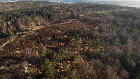 Schöne-Luftaufnahme-Aus-Dem-Schwedischen-Spätherbstwald