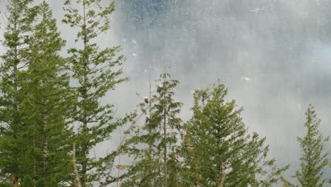 Slow-Pan-Left-View-Of-Scenic-Trees-With-Fog-Behind-In-Squamish,-British-Columbia