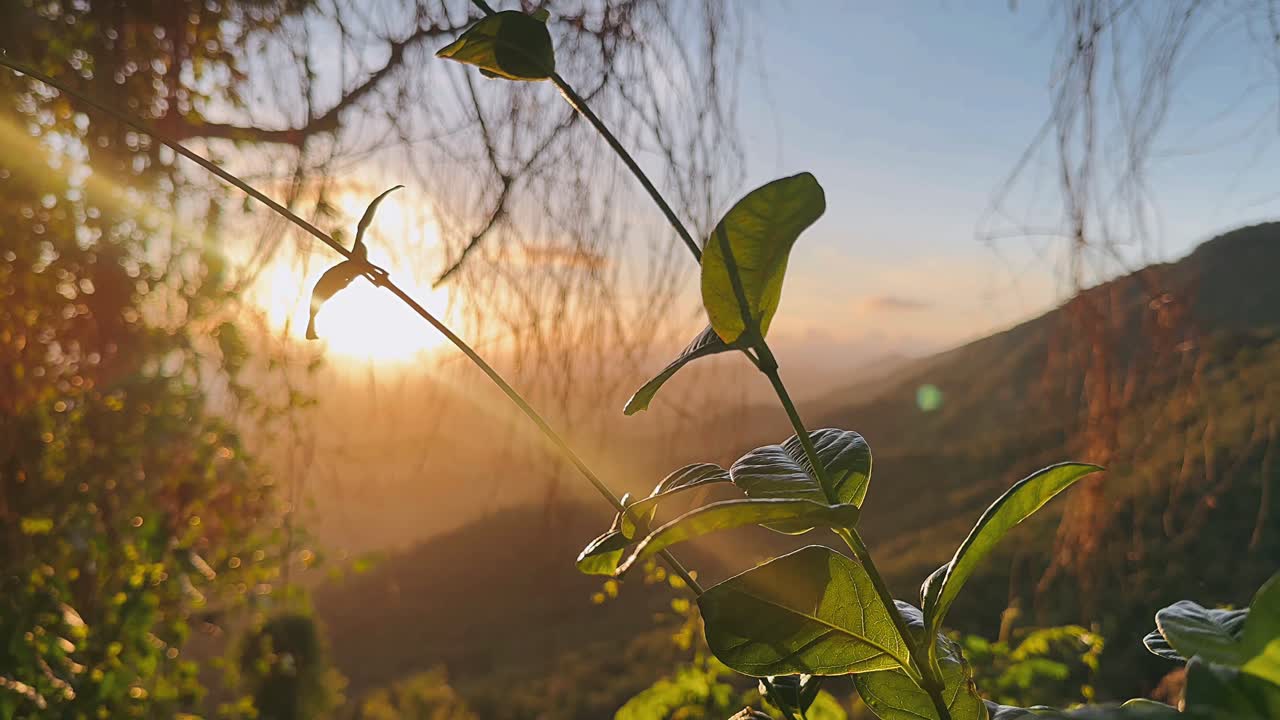 산에서 해가 지는 모습