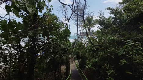 Tilt-up-shot-revealing-tall-steep-wooden-steps-leading-down-a-cliff-to-the-famous-tropical-tourist-destination-Madeiro-beach-in-Pipa,-Brazil-surrounded-by-tropical-foliage-on-a-warm-summer-day