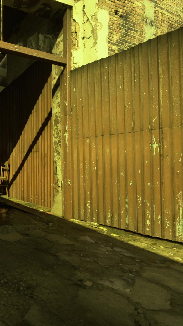 Gammel brun port ved siden af en mur i en smal gyde om dagen